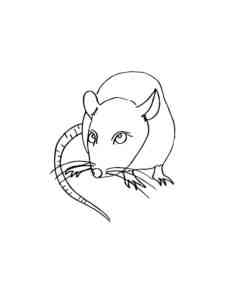 Easy Funny Rat coloring page