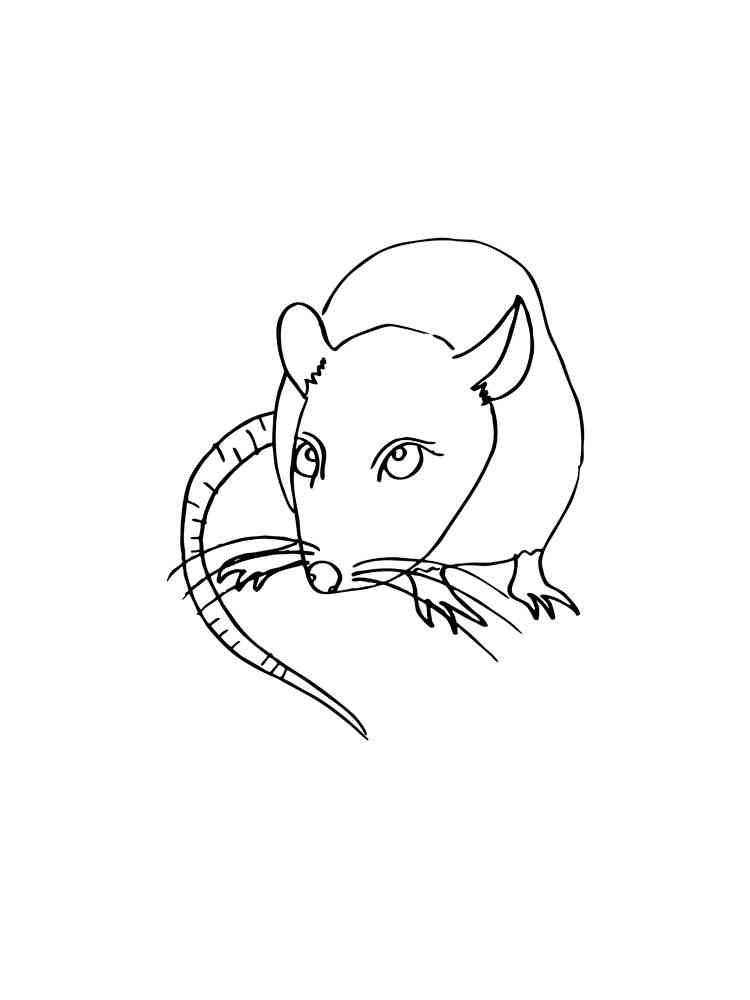Easy Funny Rat coloring page