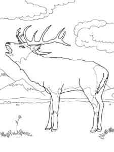 Red Deer Roars coloring page
