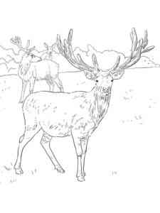 Two Red Deers coloring page
