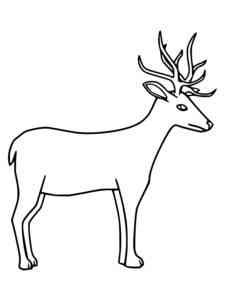 Simple Red Deer coloring page