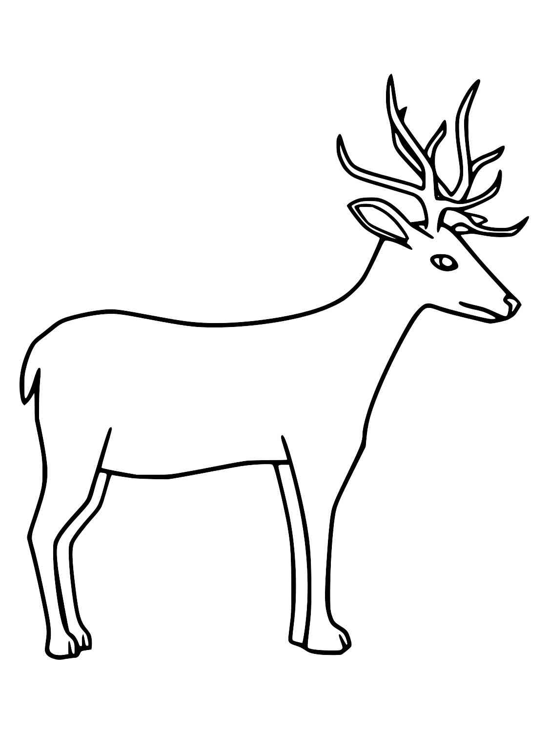 Simple Red Deer coloring page