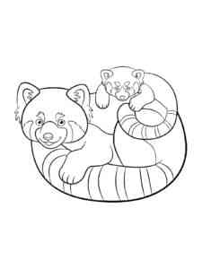 Red Panda with Cub coloring page