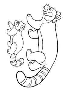 Red Panda and Baby coloring page