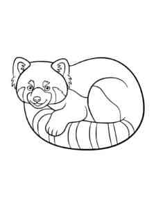 Red Panda is lying coloring page