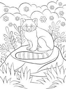 Red Panda Sitting on a Rock coloring page