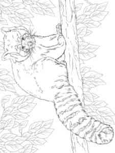 Red Panda Sitting on Branch coloring page