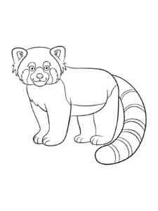 Simple Red Panda coloring page