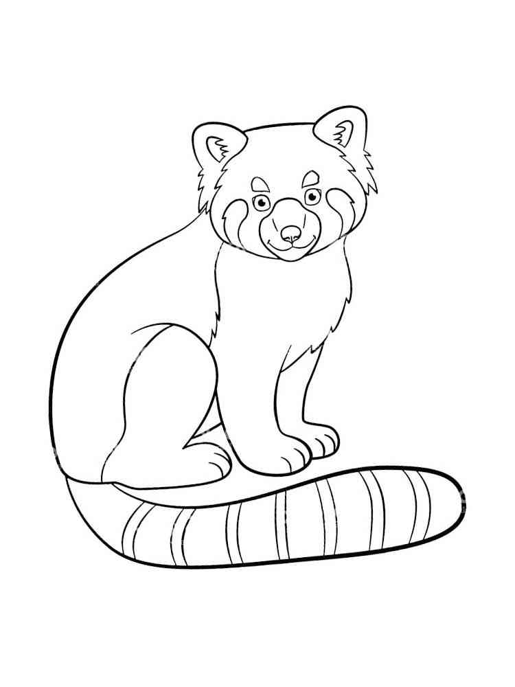 Red Panda Sitting coloring page