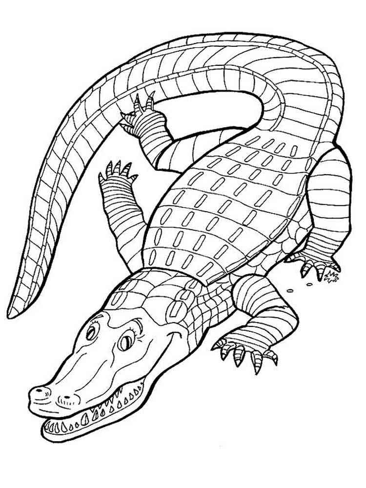 Reptile Crocodile coloring page