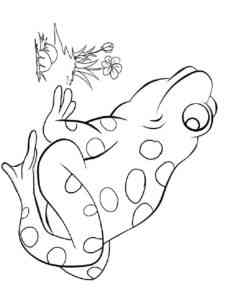 Reptile Frog coloring page