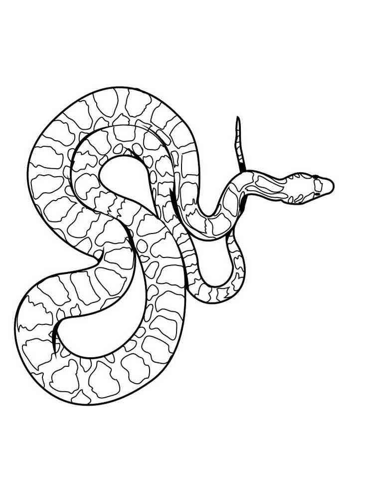 Reptile 5 coloring page