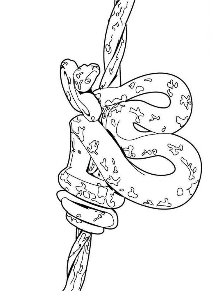 Reptile 4 coloring page