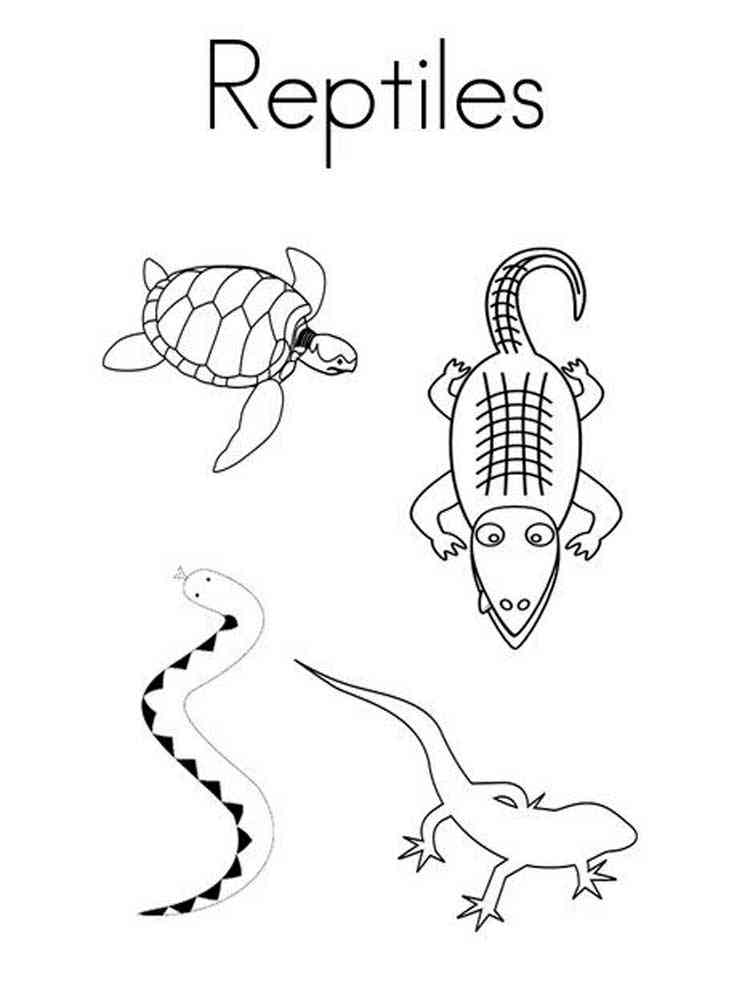 Reptiles 2 coloring page