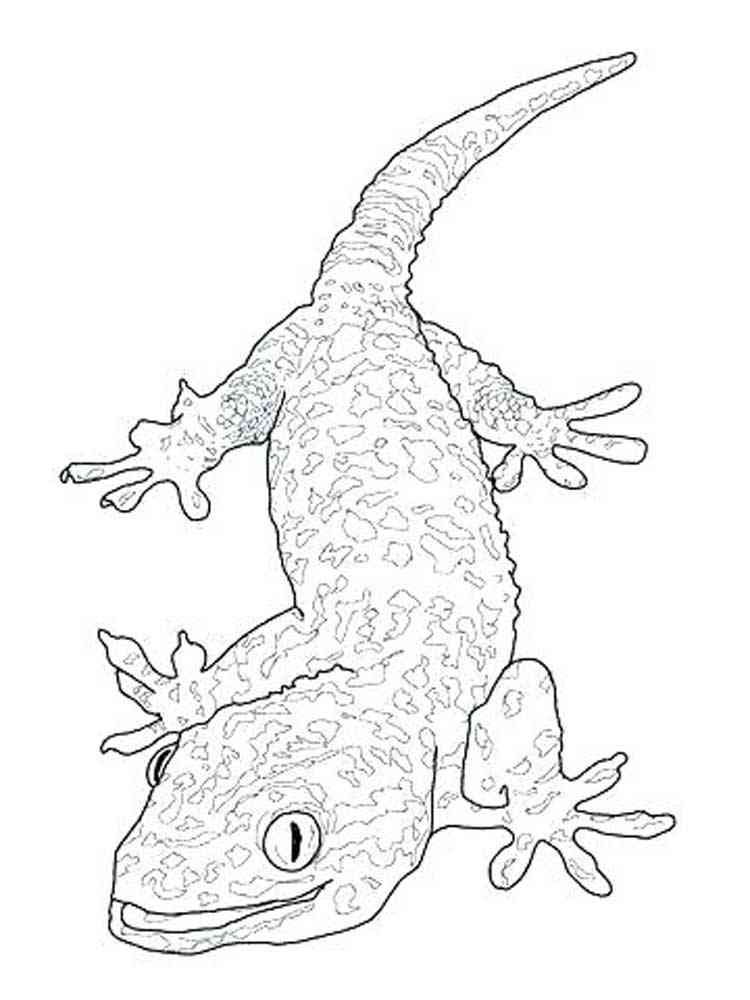 Reptile 2 coloring page