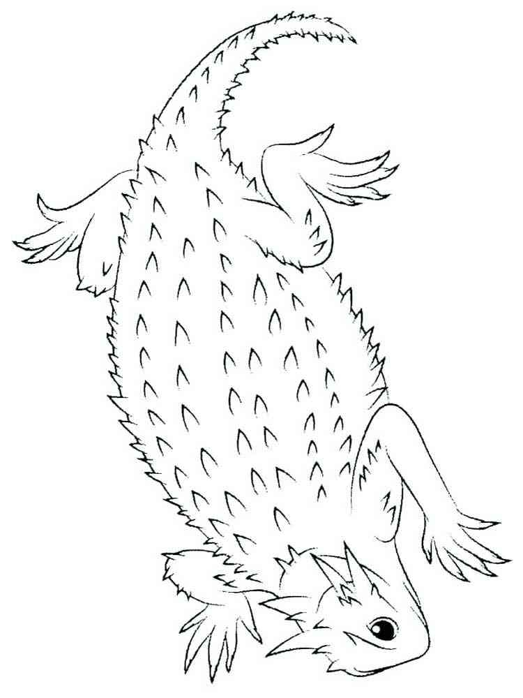 Reptile 1 coloring page
