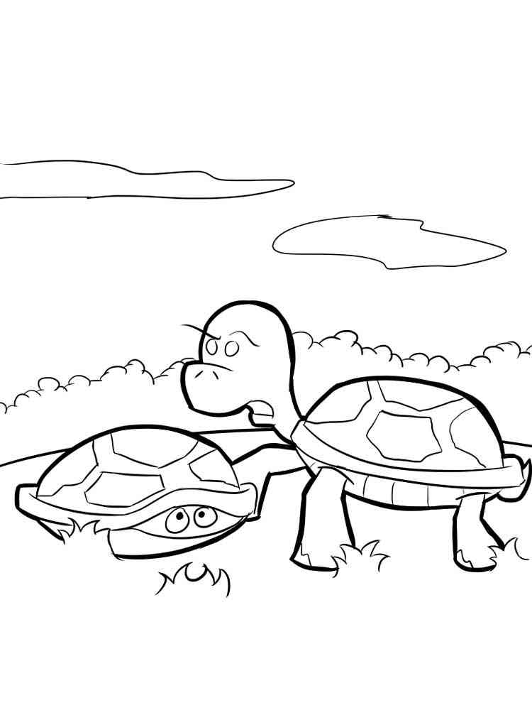 Reptile Turtle coloring page