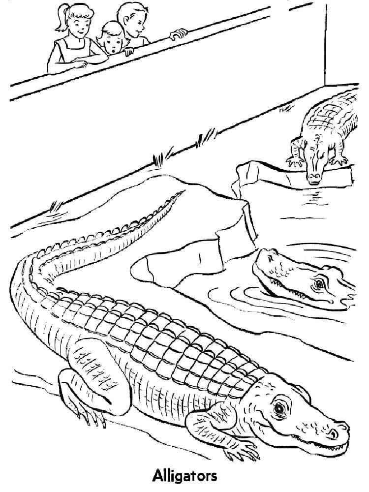 Reptiles Crocodiles coloring page
