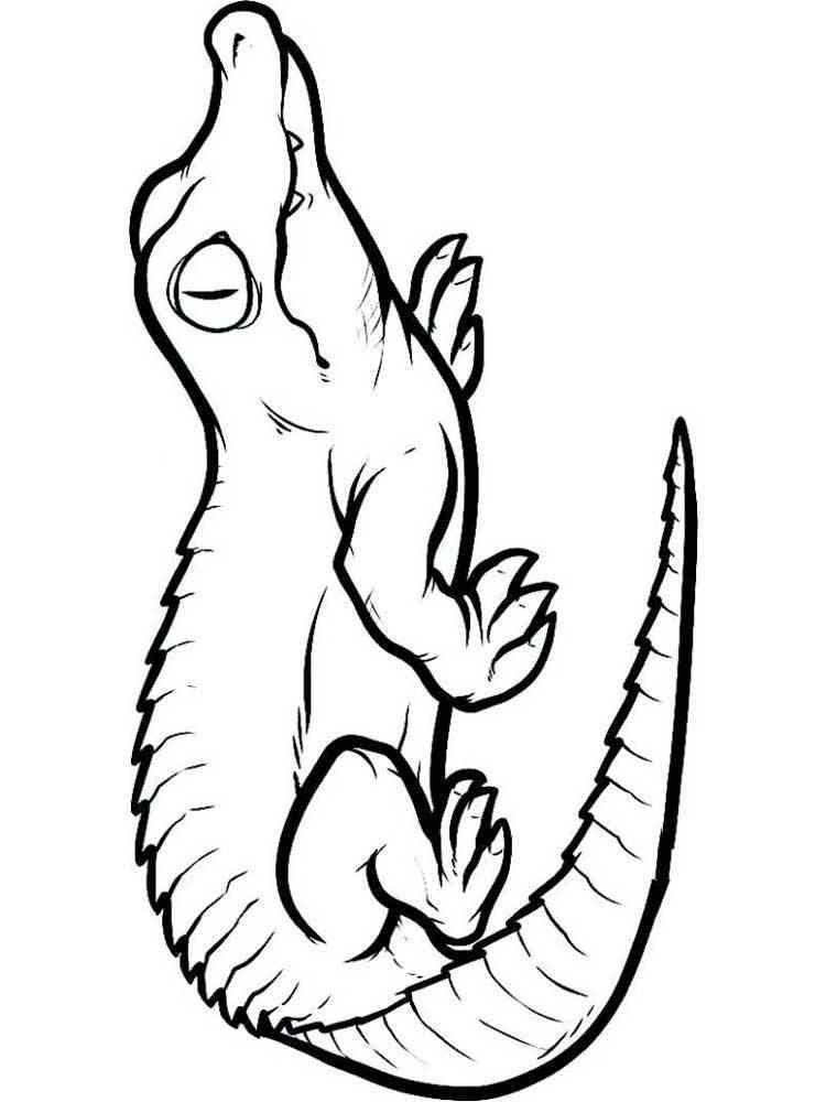 Reptile 10 coloring page