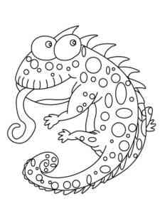 Reptile 9 coloring page