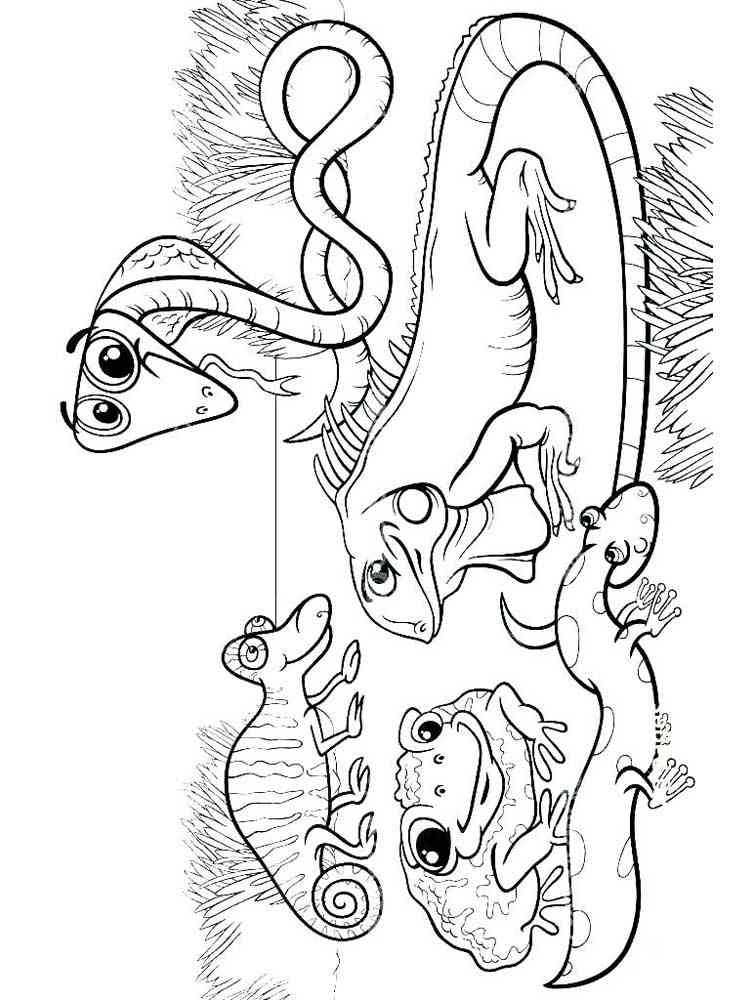 Reptiles 1 coloring page