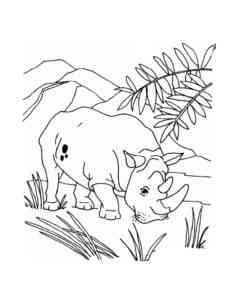 Rhino Eating Grass coloring page