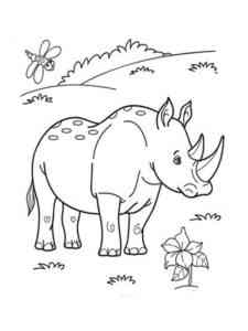 Cartoon Rhinoceros coloring page