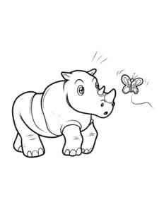 Rhino and Butterfly coloring page