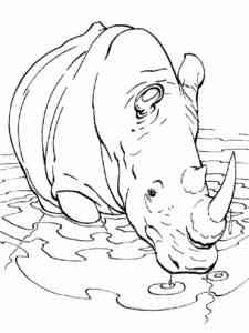 Rhinoceros in the water coloring page