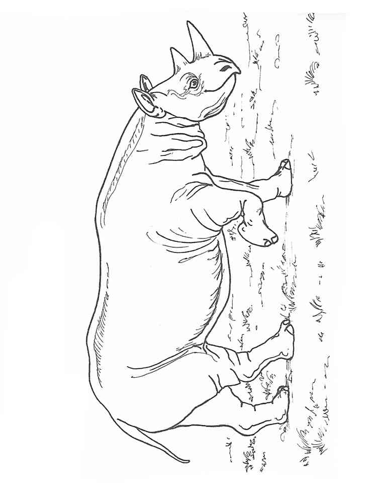 Young Rhino coloring page
