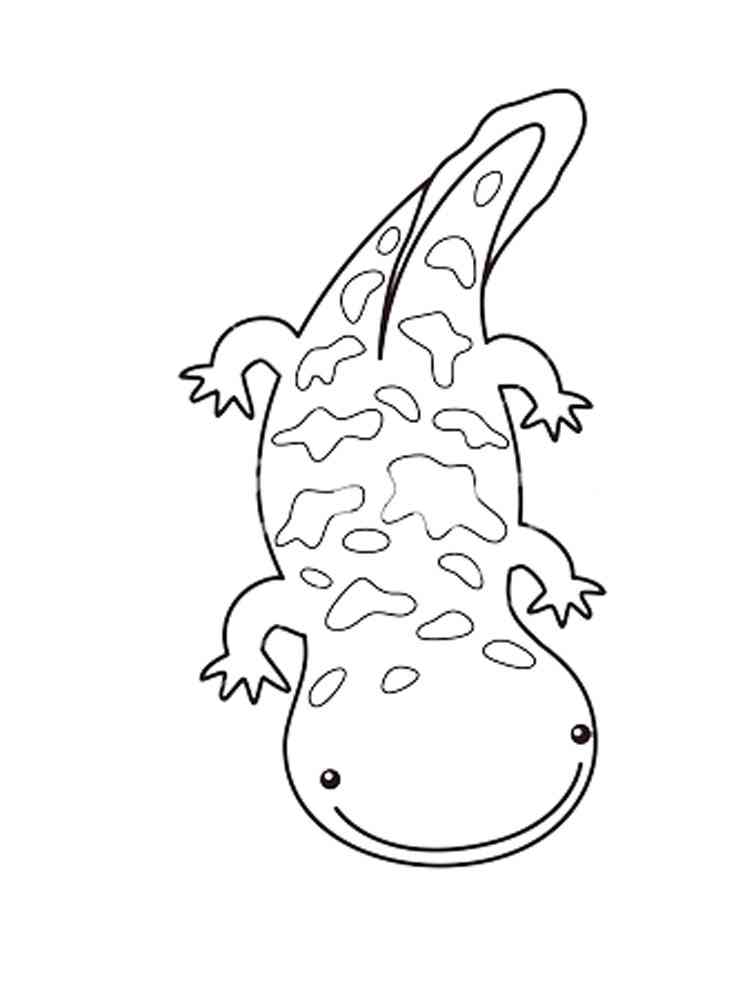 Cartoon Salamander coloring page