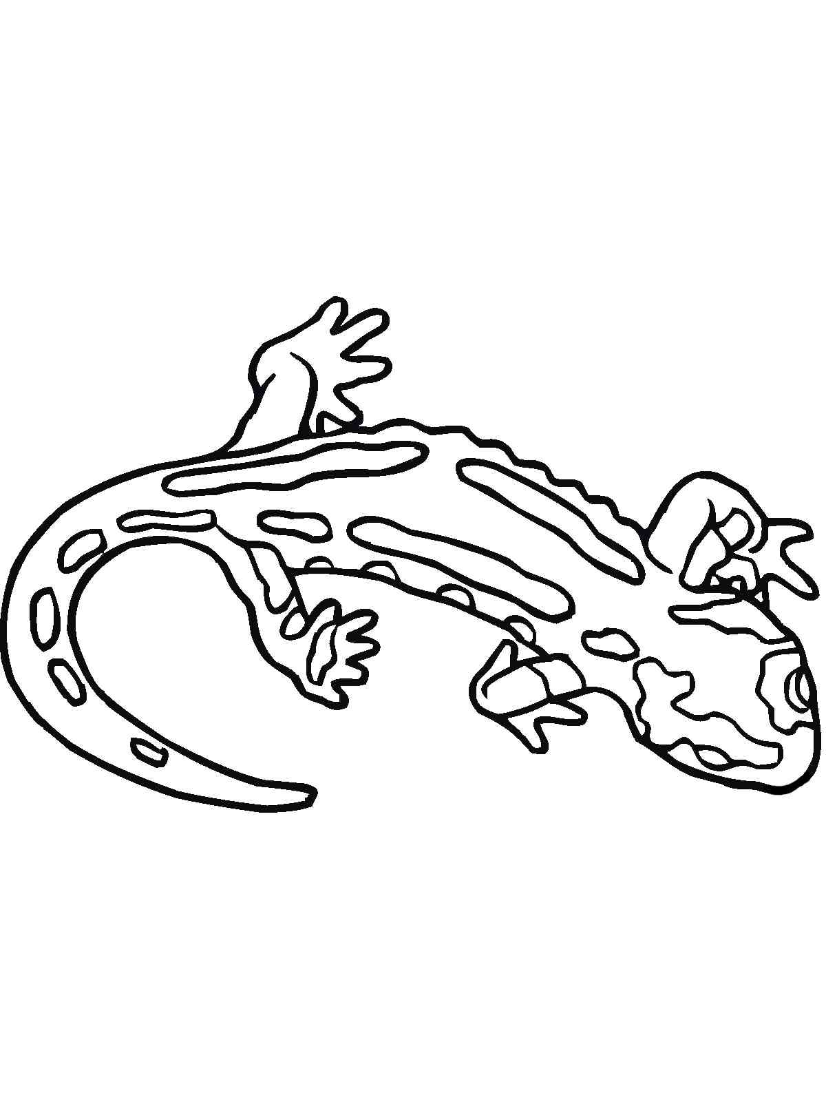 Simple Fire Salamander coloring page
