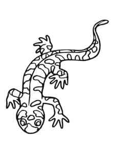 Tiger salamander coloring page