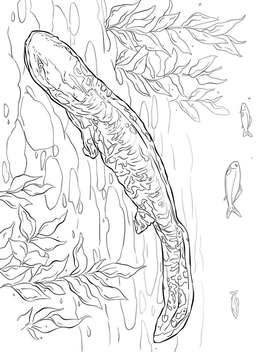 Hellbender Salamander coloring page