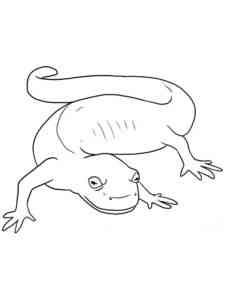 Northern Gray Cheeked Salamander coloring page