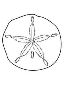 Sea Sand Dollar coloring page