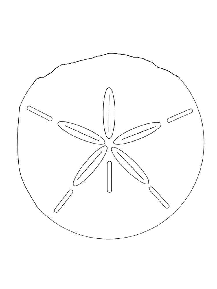 Easy Sand Dollar coloring page