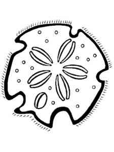 Simple Sand Dollar coloring page