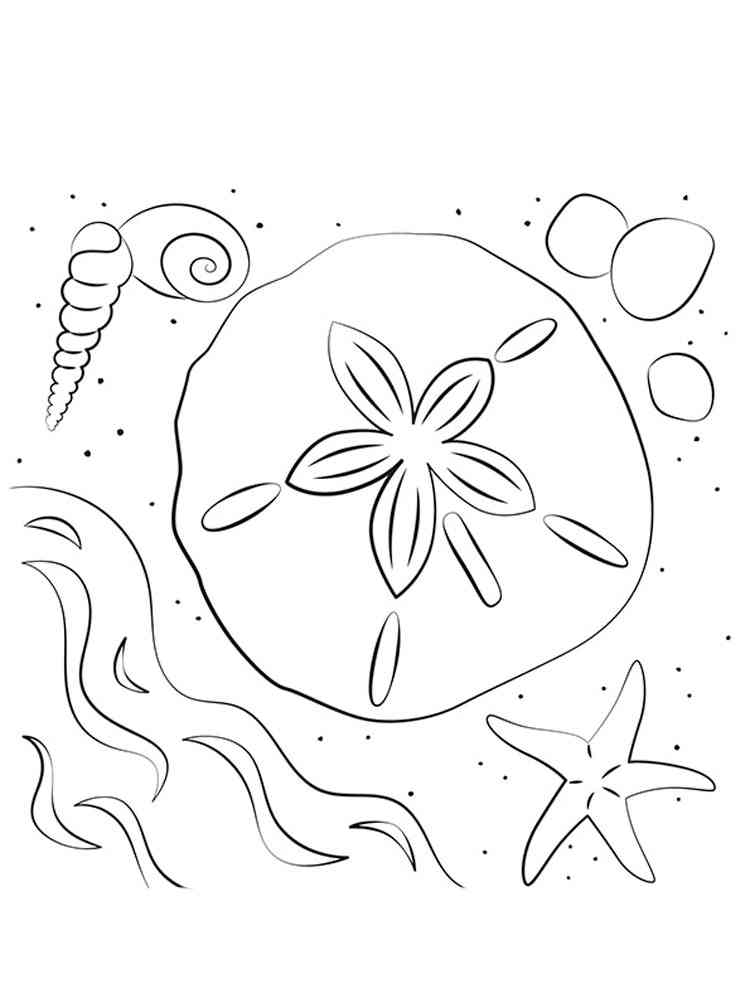 Sand Dollar on Beach coloring page
