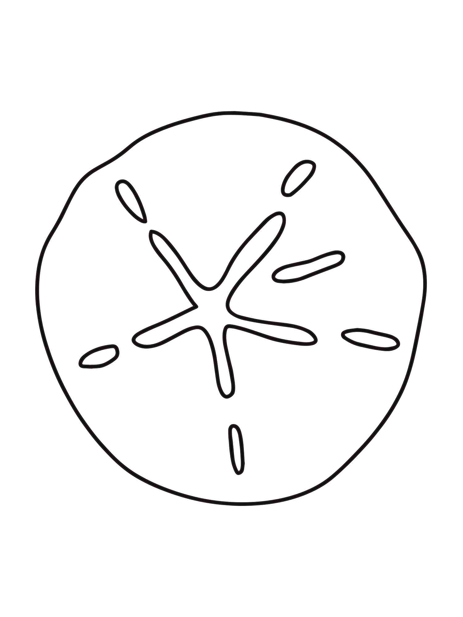 Sand Dollar 1 coloring page