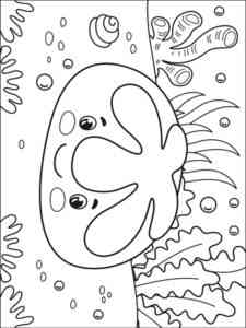 Cute Sand Dollar coloring page
