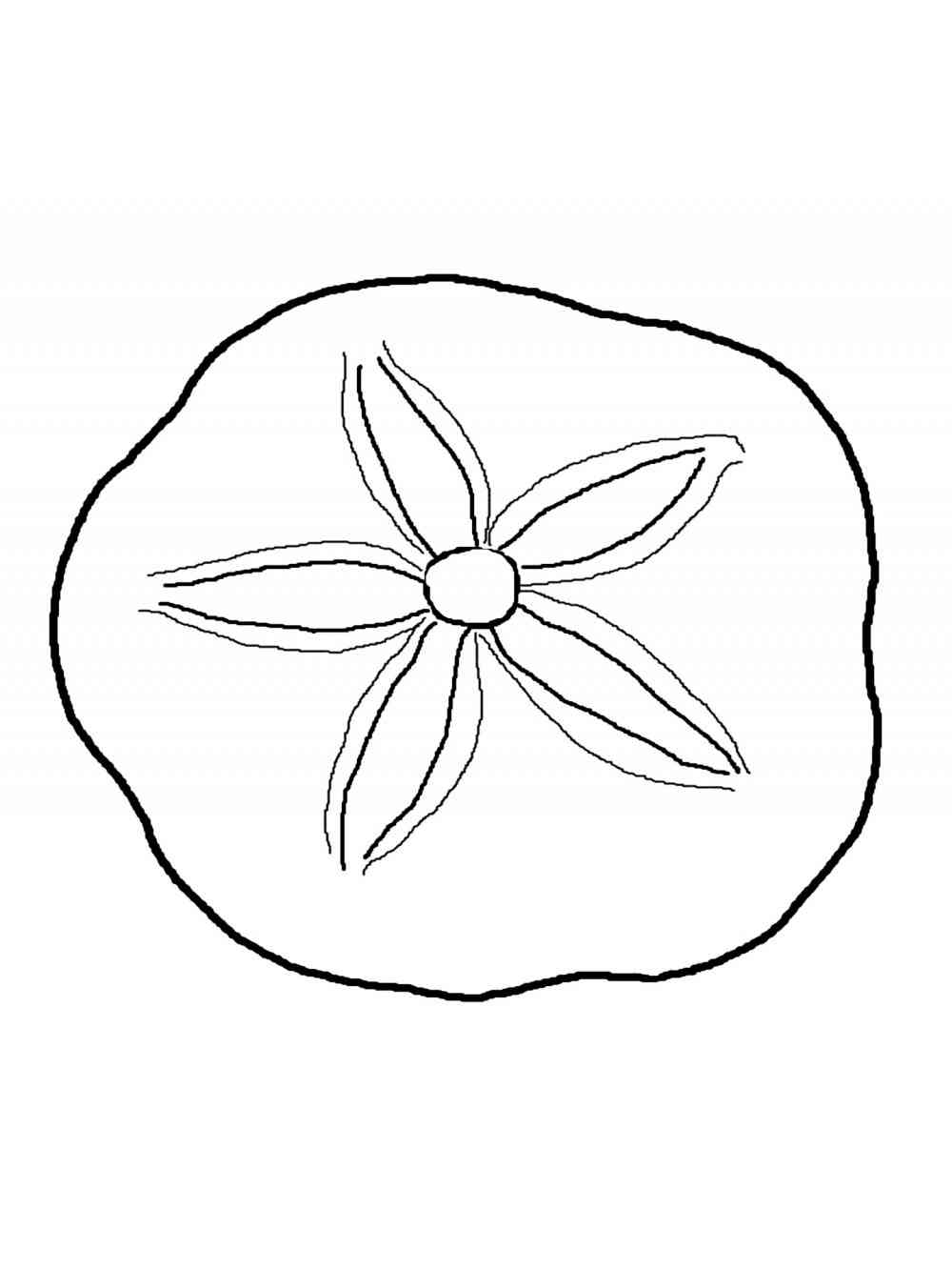 Sand Dollar 2 coloring page