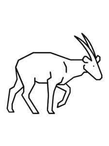 Simple Saola coloring page