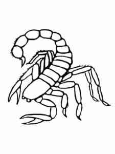Simple Desert Scorpion coloring page