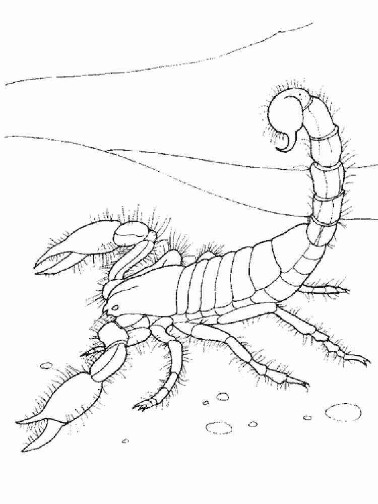 Red Claw Scorpion coloring page