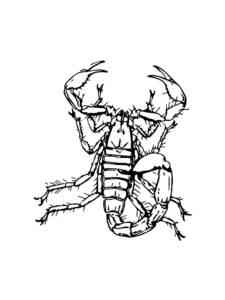 Arizona Bark Scorpion coloring page