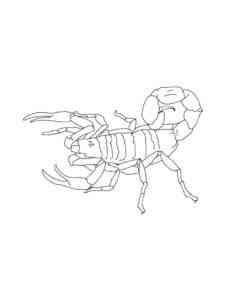 Easy Desert Scorpion coloring page