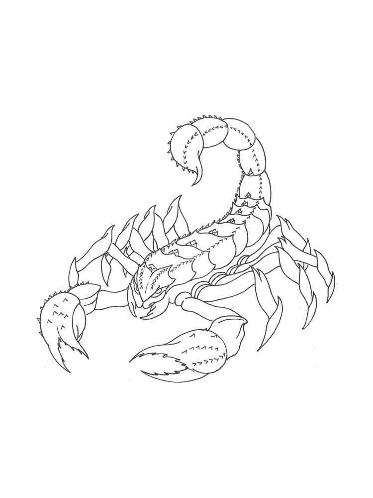 Prehistoric Scorpion coloring page