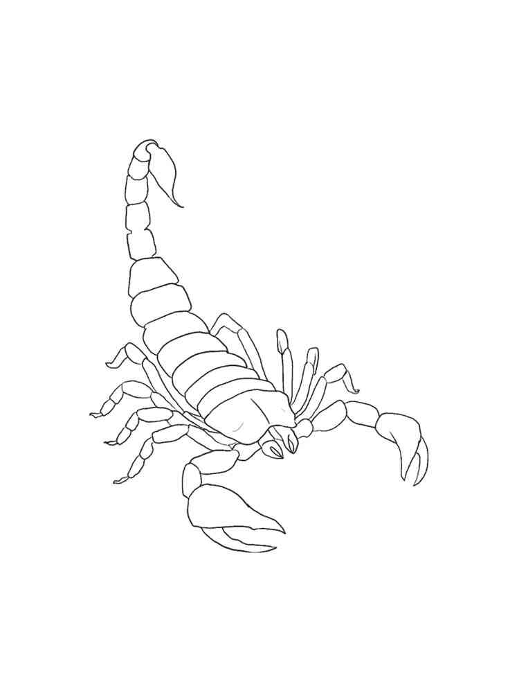 Desert Scorpion coloring page