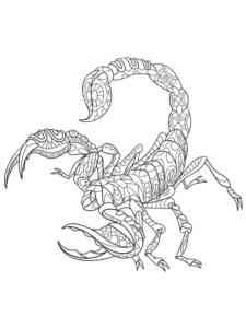Scorpion Antistress coloring page
